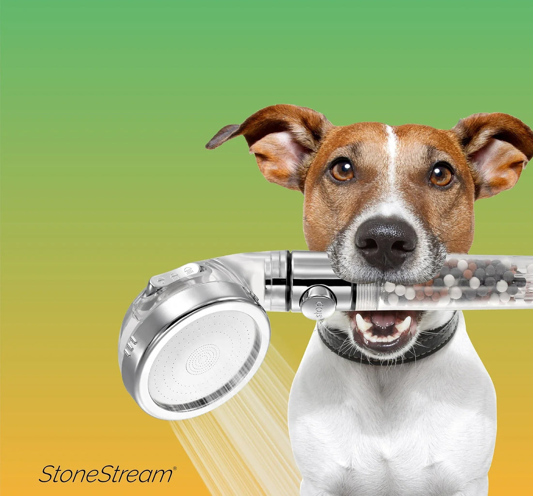 Best shower head for dogs with gentle spray for easy pet bathing